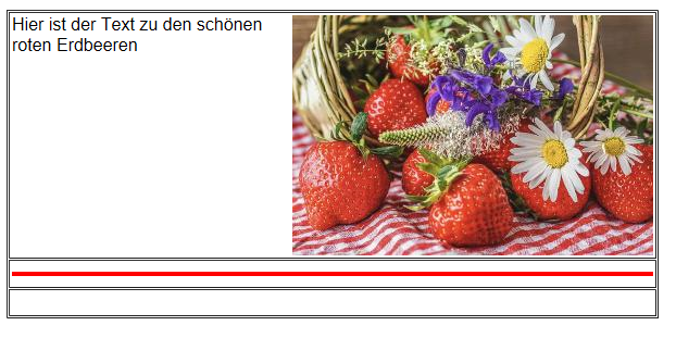 Bild1.png